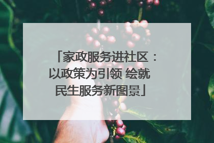 家政服务进社区：以政策为引领 绘就民生服务新图景