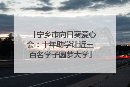 宁乡市向日葵爱心会：十年助学让近三百名学子圆梦大学