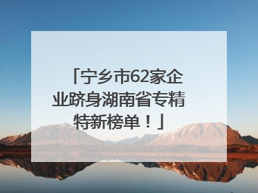 宁乡市62家企业跻身湖南省专精特新榜单！