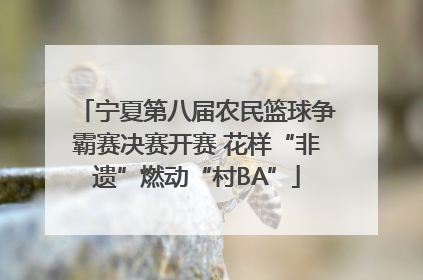宁夏第八届农民篮球争霸赛决赛开赛 花样“非遗”燃动“村BA”