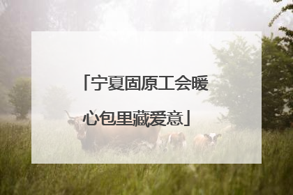 宁夏固原工会暖心包里藏爱意