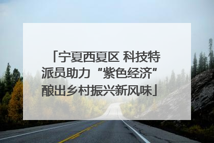 宁夏西夏区 科技特派员助力“紫色经济”酿出乡村振兴新风味