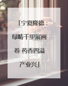 宁夏隆德：绿畴千里展画卷 药香四溢产业兴