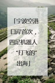 宁波空港口岸首次，四足机器人“打飞的”出海