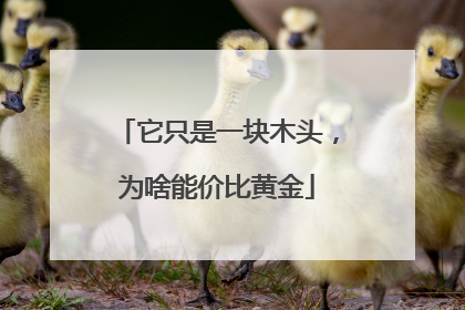 它只是一块木头，为啥能价比黄金
