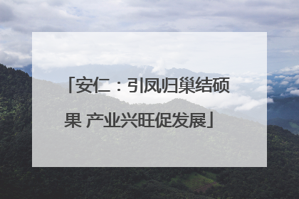 安仁：引凤归巢结硕果 产业兴旺促发展