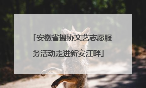 安徽省摄协文艺志愿服务活动走进新安江畔