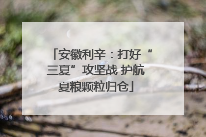 安徽利辛：打好“三夏”攻坚战 护航夏粮颗粒归仓