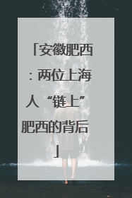 安徽肥西：两位上海人“链上”肥西的背后