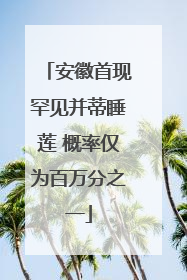 安徽首现罕见并蒂睡莲 概率仅为百万分之一