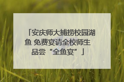 安庆师大捕捞校园湖鱼 免费宴请全校师生品尝“全鱼宴”