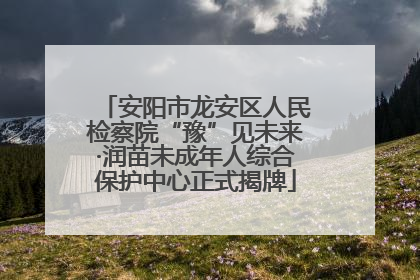 安阳市龙安区人民检察院“豫”见未来·润苗未成年人综合保护中心正式揭牌