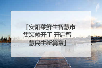 安阳菜鲜生智慧市集装修开工 开启智慧民生新篇章