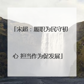 宋超：履职为民守初心 担当作为促发展