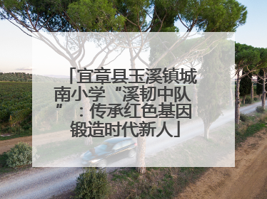 宜章县玉溪镇城南小学“溪韧中队”：传承红色基因 锻造时代新人