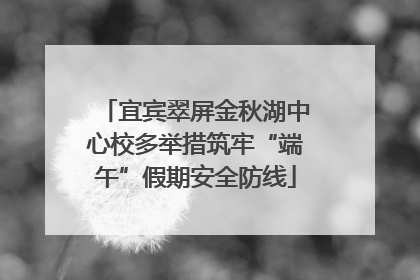宜宾翠屏金秋湖中心校多举措筑牢“端午”假期安全防线