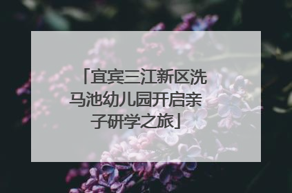 宜宾三江新区洗马池幼儿园开启亲子研学之旅