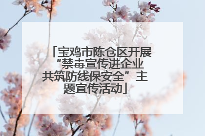 宝鸡市陈仓区开展“禁毒宣传进企业 共筑防线保安全”主题宣传活动