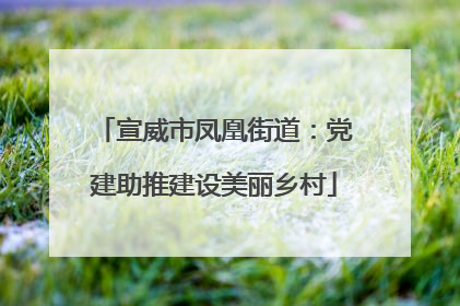 宣威市凤凰街道：党建助推建设美丽乡村