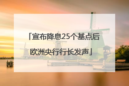 宣布降息25个基点后 欧洲央行行长发声