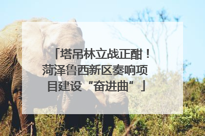 塔吊林立战正酣！菏泽鲁西新区奏响项目建设“奋进曲”