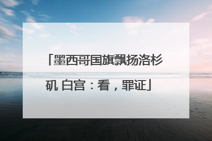 墨西哥国旗飘扬洛杉矶 白宫：看，罪证