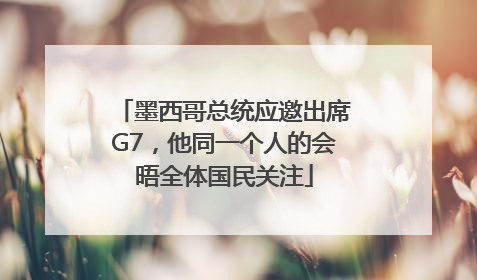 墨西哥总统应邀出席G7，他同一个人的会晤全体国民关注