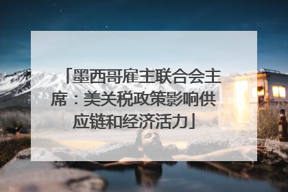 墨西哥雇主联合会主席：美关税政策影响供应链和经济活力