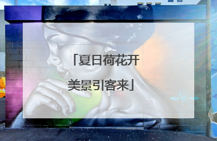 夏日荷花开 美景引客来