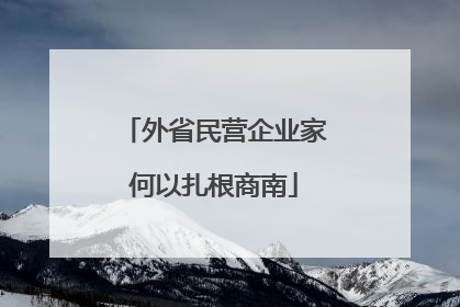 外省民营企业家何以扎根商南