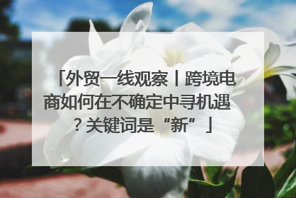 外贸一线观察丨跨境电商如何在不确定中寻机遇？关键词是“新”