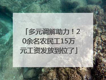 多元调解助力！20余名农民工15万元工资发放到位了