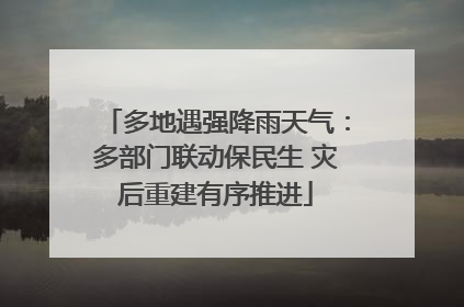 多地遇强降雨天气：多部门联动保民生 灾后重建有序推进