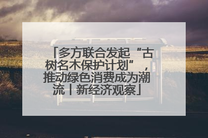 多方联合发起“古树名木保护计划”，推动绿色消费成为潮流丨新经济观察