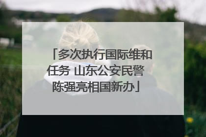 多次执行国际维和任务 山东公安民警陈强亮相国新办