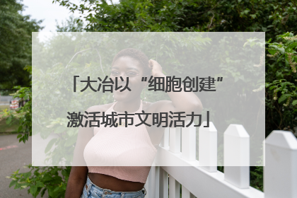 大冶以“细胞创建”激活城市文明活力