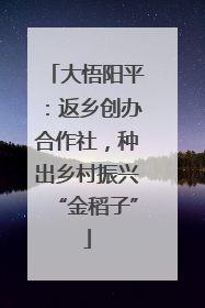 大悟阳平：返乡创办合作社，种出乡村振兴“金稻子”