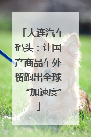 大连汽车码头：让国产商品车外贸跑出全球“加速度”