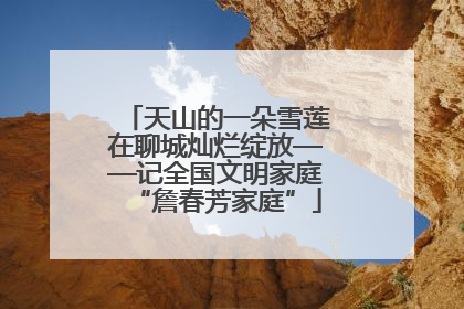 天山的一朵雪莲在聊城灿烂绽放——记全国文明家庭“詹春芳家庭”