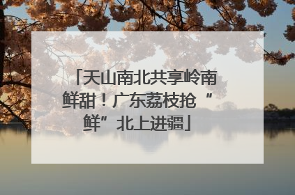 天山南北共享岭南鲜甜！广东荔枝抢“鲜”北上进疆