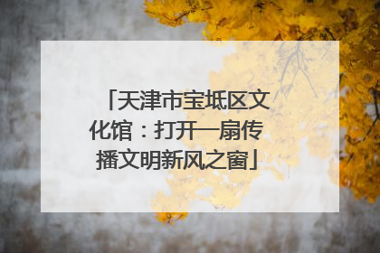 天津市宝坻区文化馆：打开一扇传播文明新风之窗