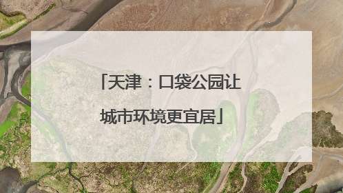 天津：口袋公园让城市环境更宜居