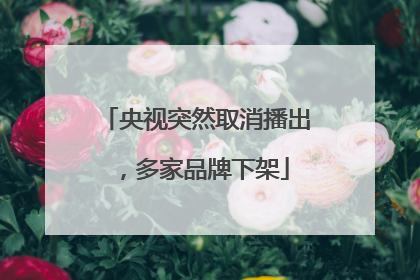 央视突然取消播出，多家品牌下架
