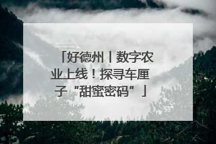 好德州丨数字农业上线！探寻车厘子“甜蜜密码”
