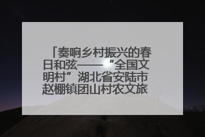 奏响乡村振兴的春日和弦——“全国文明村”湖北省安陆市赵棚镇团山村农文旅融合发展见闻