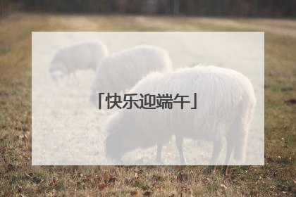 快乐迎端午