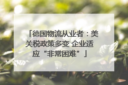 德国物流从业者：美关税政策多变 企业适应“非常困难”