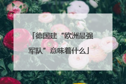 德国建“欧洲最强军队”意味着什么