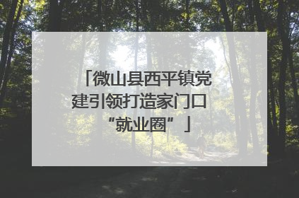 微山县西平镇党建引领打造家门口“就业圈”