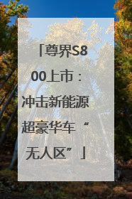 尊界S800上市：冲击新能源超豪华车“无人区”